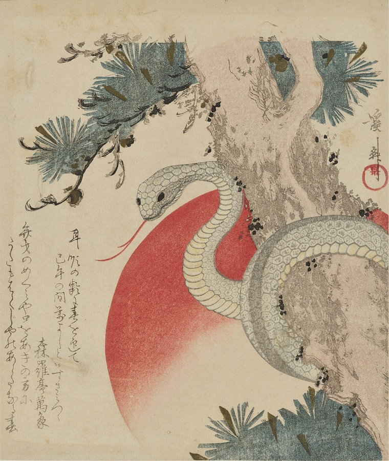 Illustration du serpent blanc